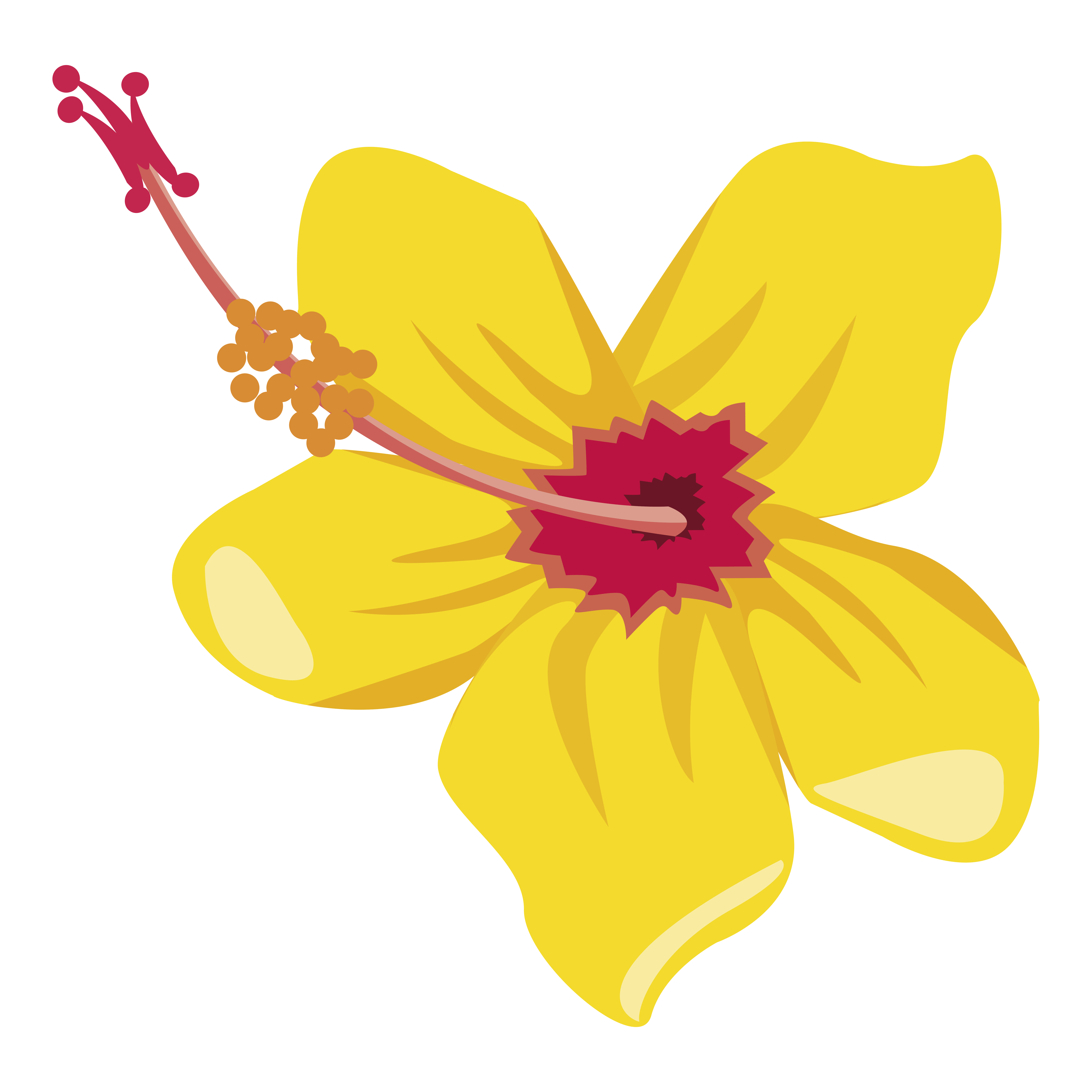 fleur tropicale jaune 2494785 - Telecharger Vectoriel Gratuit, Clipart  Graphique, Vecteur Dessins et Pictogramme Gratuit