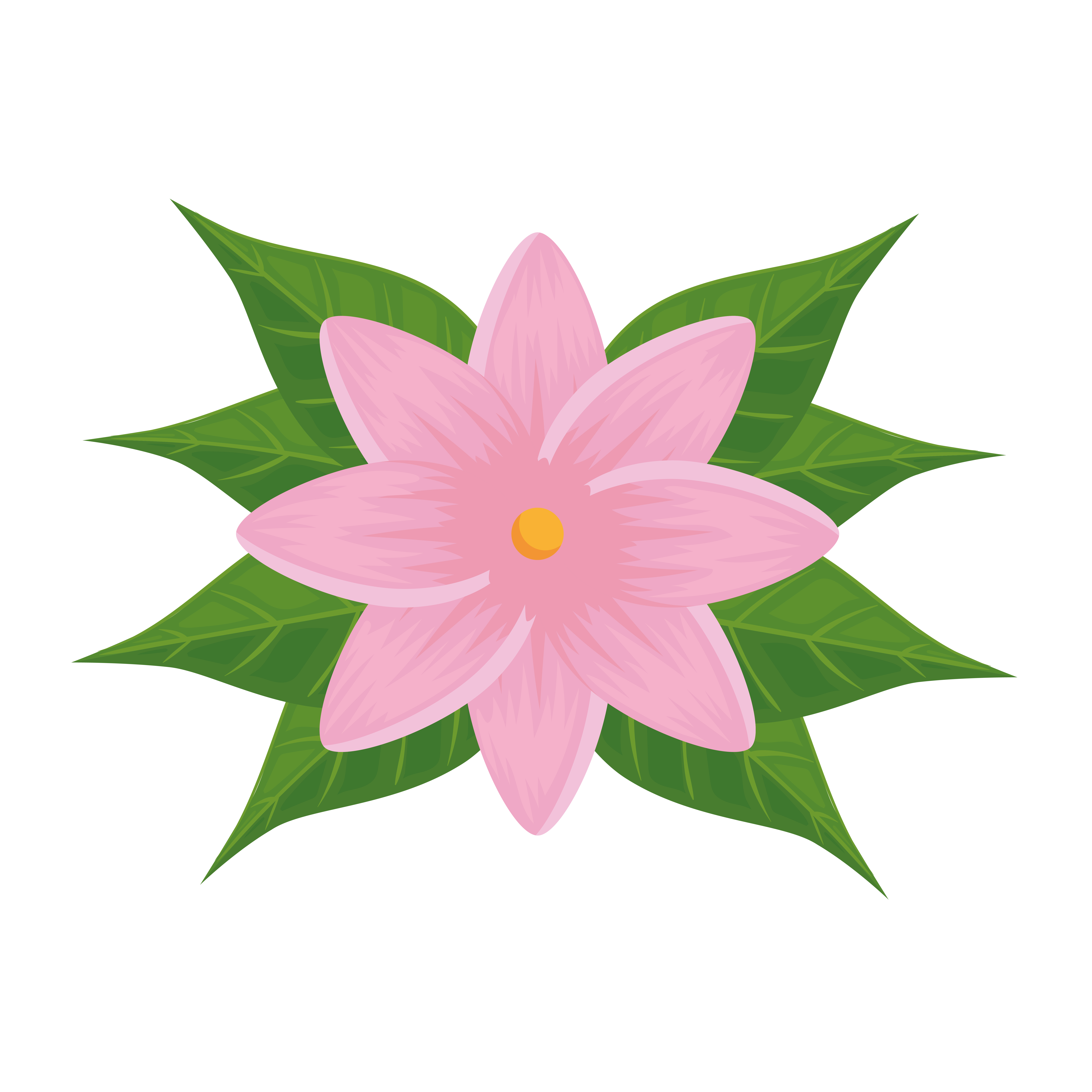 fleur tropicale rose 2696207 - Telecharger Vectoriel Gratuit, Clipart  Graphique, Vecteur Dessins et Pictogramme Gratuit