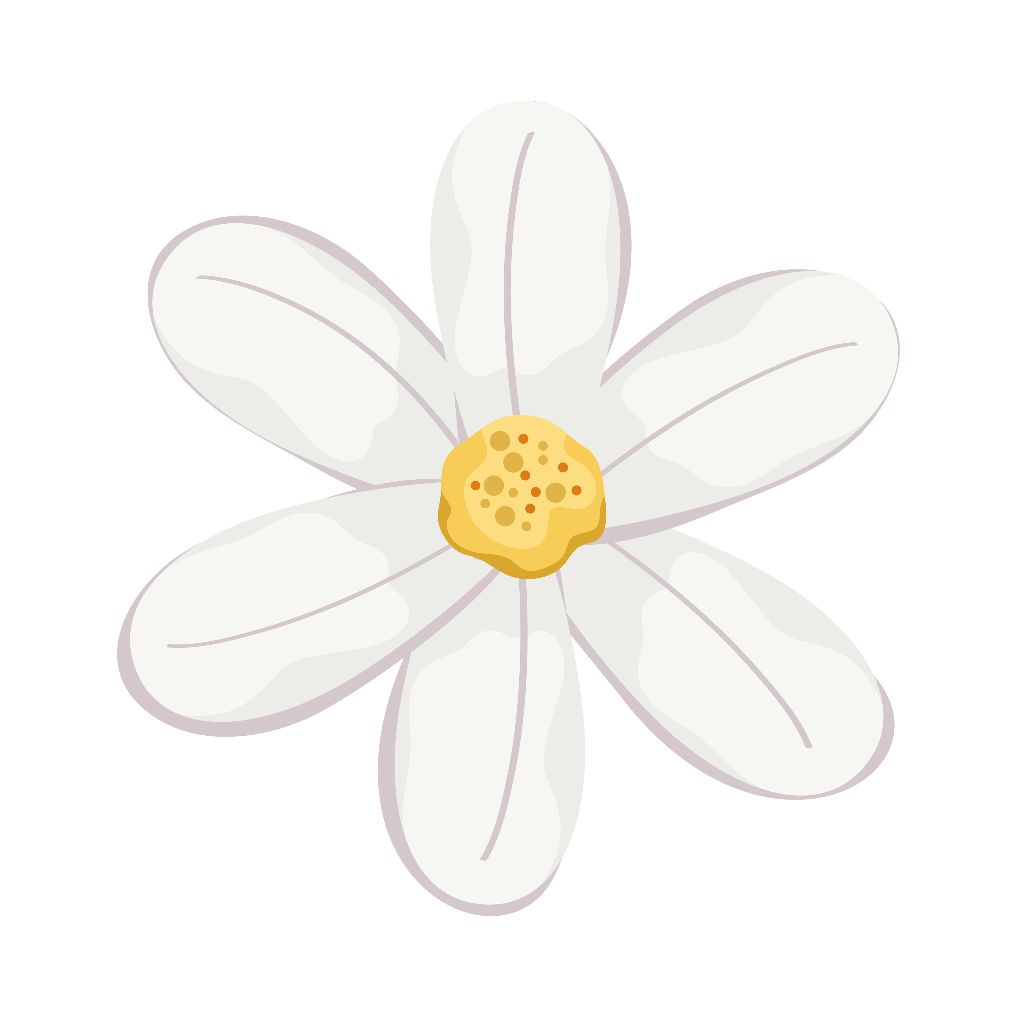 fleur blanche à cinq pétales 4102185 - Telecharger Vectoriel Gratuit,  Clipart Graphique, Vecteur Dessins et Pictogramme Gratuit