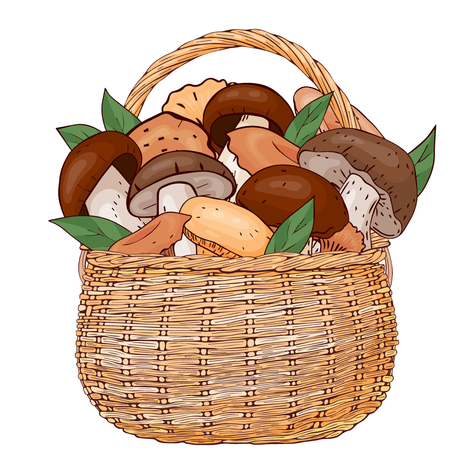 panier aux champignons. illustration vectorielle. isolé sur blanc