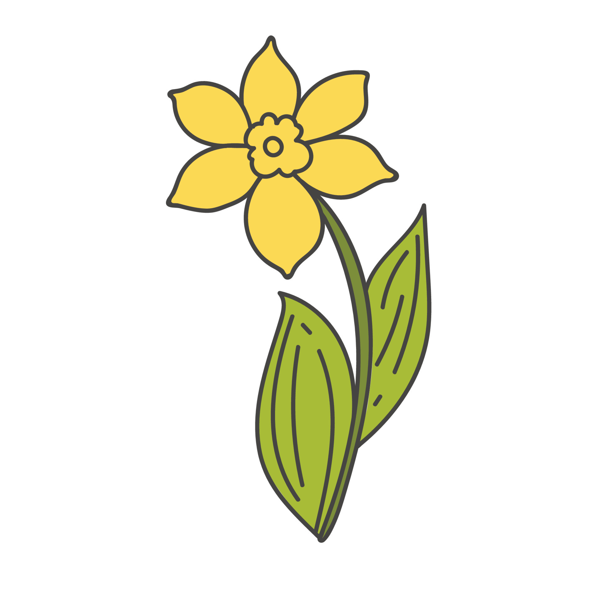 illustration botanique de printemps, icône doodle jonquilles jaunes avec  des feuilles vertes. fleur plate narcissique, jonquille 6152280 -  Telecharger Vectoriel Gratuit, Clipart Graphique, Vecteur Dessins et  Pictogramme Gratuit