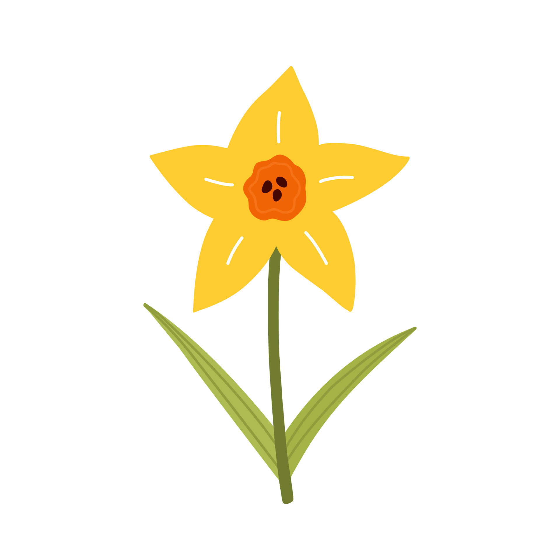 jolie fleur de jonquille jaune avec des feuilles isolées sur fond blanc.  illustration vectorielle dans un style plat dessiné à la main. parfait pour  les cartes, le logo, les décorations, les designs
