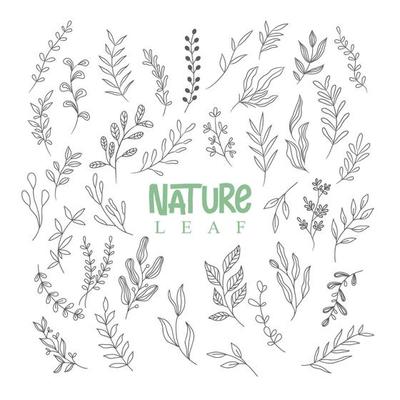 nature feuille dessin dessin au trait 16706790 Art vectoriel chez