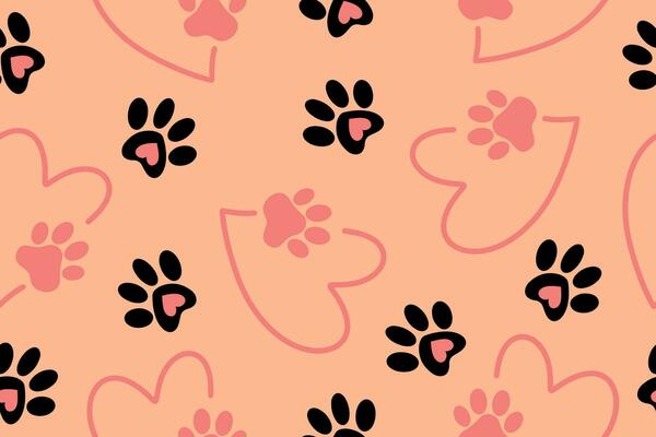 silhouette d'une patte de chat. empreintes de pattes. une icône de chiot  chien ou chat. une trace d'animal de compagnie. 18980630 Art vectoriel chez  Vecteezy
