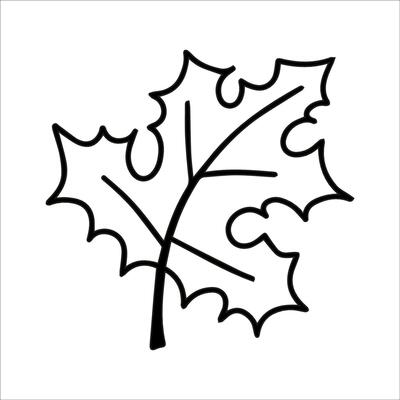 contour dessin de une érable feuille. l'automne feuille 29899913 Art  vectoriel chez Vecteezy