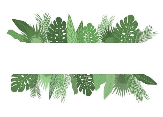 modèle de cadre floral tropical vert avec place pour votre texte