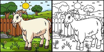 coloriage de chèvre illustration colorée vecteur