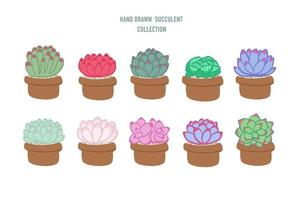 ensemble de différentes succulentes colorées isolées dessinées à la main vecteur