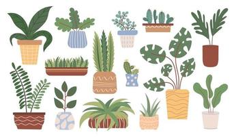 ensemble de plantes d'intérieur en pot. collection de plantes succulentes, de cactus ou de plantes à feuillage vert poussant dans des jardinières ou des pots de fleurs. illustration vectorielle dans un style plat. vecteur