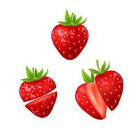 fraise entière et tranchée. baies douces mûres rouges fraîches isolées sur fond blanc. illustration vectorielle 3d réaliste. aliments sains, fruits sucrés avec vitamine c. vecteur
