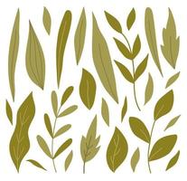 ensemble de diverses feuilles vertes et brindilles de différentes formes. illustration vectorielle dans un style plat dessiné à la main. parfait pour les cartes, le logo, les décorations, les designs de printemps et d'été. clipart botanique. vecteur