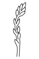asperges. esquisser. un légume avec une longue tige dense et des feuilles en forme d'aiguille. illustration vectorielle. contour sur fond isolé. style de griffonnage. évasion juteuse. nourriture végétalienne. produit bio de saison. vecteur