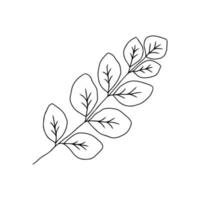 tige dessinée à la main avec des feuilles, des brindilles et de l'herbe dans un style doodle. conception d'art d'arbre. noir isolé sur des éléments blancs pour la conception vecteur