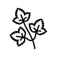 feuilles de coriandre ligne icône illustration vectorielle vecteur