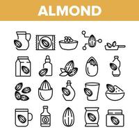 icônes de collection d'aliments naturels aux amandes définies vecteur