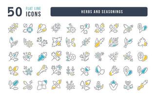 ensemble d'icônes linéaires d'herbes et d'assaisonnements vecteur