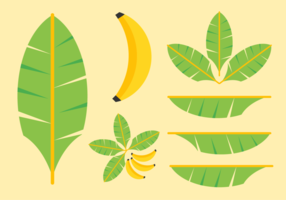 Pack gratuit de vecteur de feuilles de banane