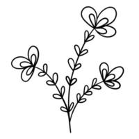 branche de fleur de doodle, bourgeon mignon et inhabituel, peut être utilisé pour décorer des cartes postales, des cartes de visite ou comme élément de design vecteur