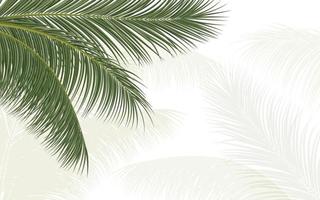 branche de palmier, feuille de cocotier vecteur