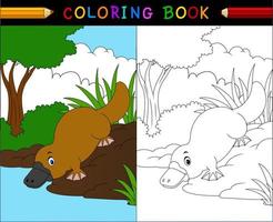 livre de coloriage de dessin animé d'ornithorynque, série d'animaux australiens vecteur