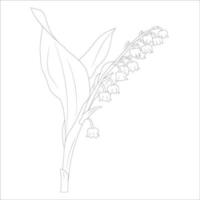 muguet, ligne, art, vecteur, fleur, de, isolé, à, fond blanc, dessin illustration vecteur