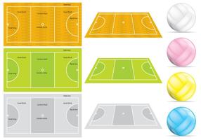 Courts de Netball et balles vecteur