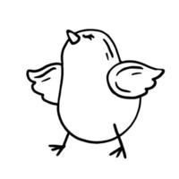 poussin drôle assis dans un style doodle. illustration vectorielle d'oiseau domestique mignon dessiné à la main. vecteur