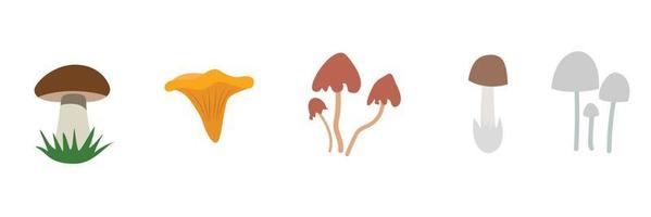 champignons de dessin animé. ensemble d'illustrations vectorielles isolées de champignons vénéneux et comestibles, chanterelle, cep, amanita et truffe. types de champignons sauvages forestiers. cèpes et girolles bio, champignon vénéneux vecteur