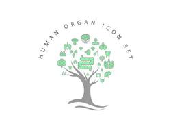 icône d'organe humain sur fond blanc vecteur