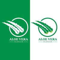 plante verte aloe vera logo vecteur icône symbole de nombreux avantages