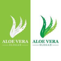 plante verte aloe vera logo vecteur icône symbole de nombreux avantages