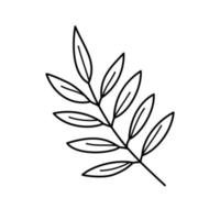 une branche avec des feuilles dans le style doodle. vecteur