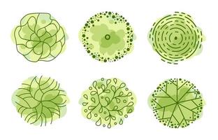 arbre pour les plans d'étage architecturaux. conception d'entourage. divers arbres, buissons et arbustes, vue de dessus pour le plan d'aménagement paysager. vecteur