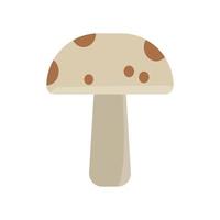 illustration de champignons champignons champignon agaric végétal naturel vecteur