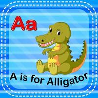 flashcard lettre a est pour alligator vecteur