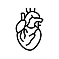 coeur, organe humain, ligne, icône, vecteur, illustration vecteur