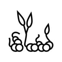 illustration vectorielle de l'icône de la ligne de pois germés vecteur