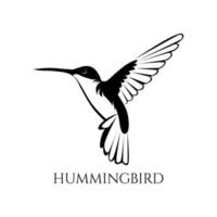 illustration vectorielle colibri noir et blanc 02 vecteur