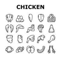 poulet animal ferme viande crue nourriture icônes ensemble vecteur