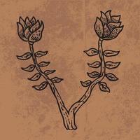feuille botanique doodle dessin au trait de fleurs sauvages. illustration vectorielle dessinés à la main. contour floral vintage. adapté au papier peint, aux affiches, aux autocollants, au contenu des médias sociaux vecteur