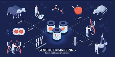 infographie de génie génétique isométrique vecteur