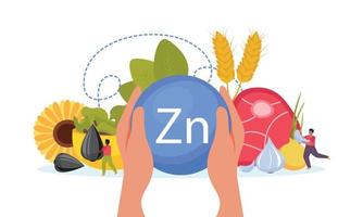 composition alimentaire en zinc vecteur