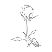 illustration vectorielle de fleur rose dessin au trait dessiné à la main vecteur