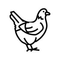 poulet oiseau domestique ligne icône illustration vectorielle vecteur