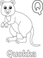 alphabet quokka abc coloriage q vecteur