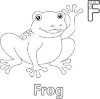 grenouille alphabet abc coloriage f vecteur