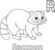 raton laveur alphabet abc coloriage r vecteur