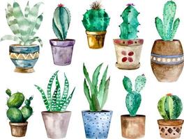 illustration aquarelle de cactus et de plantes succulentes en pot. pot de fleur individuel aquarelle vecteur