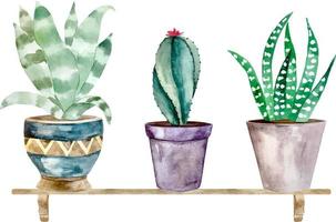 illustration aquarelle de cactus et de plantes succulentes en pot. pot de fleur individuel aquarelle vecteur