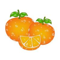 orange, illustration vectorielle avec des couleurs vives, humide, fraîche et rosée, adaptée à l'emballage de jus de fruits, restaurant, végétarien, agriculture, vitamine, nutrition, impression vecteur